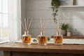 Car Reed Diffusers
